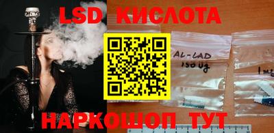 дмт Гатчина