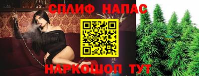 прущие грибы Волгодонск